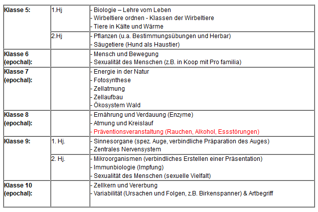 Unterrichtsinhalte Sekundarstufe 1